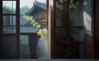 Lightroom后期调色界面截图，展示日系清新风写真的色调调整参数，HSL面板与色调曲线